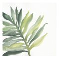 thumbnail image 1 of Tropical Palm III -Paper Art-26"x26", 1 of 1