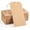100pack Brown, variant on 120 Pack White Gift Tags with Elastic String Hang Paper Marking Tags with String Attached Reinforced Hole Writable Inventory Tag 4.76''×2.36''