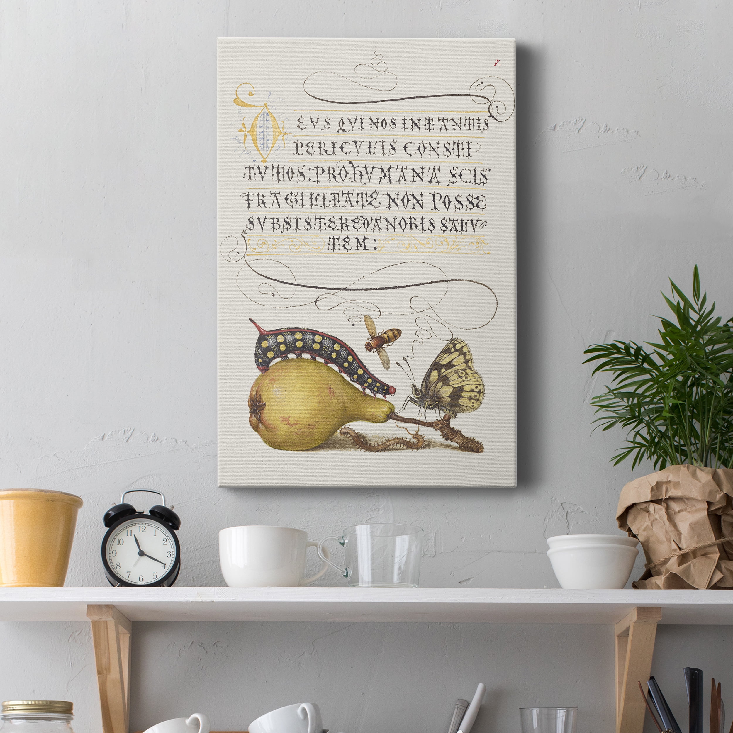 Fly, Caterpillar, Pear, and Centipede Premium Gallery Wrapped Canvas - Ready to Hang - 40 x 60