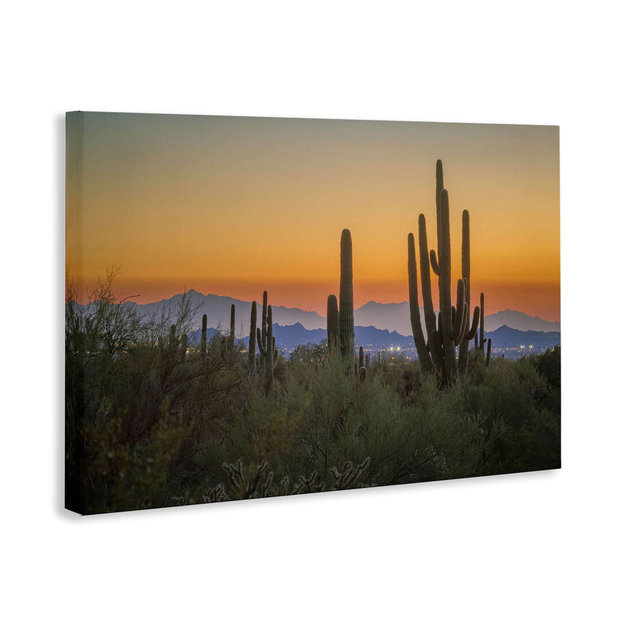Stupell Industries Looming Cacti Sunset Landscape & Nature Photography Wrapped Canvas Art Print Wall Art, 24 x 16