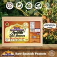 thumbnail image 4 of Rani Raw Spanish Peanuts 100% Natural with Skin (uncooked, unsalted) 25lbs (400oz) 11.36kg Bulk Box ~ Vegan | Gluten Friendly | Fresh Product of USA | Kosher | Red-brown Skin, 4 of 8