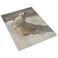 thumbnail image 3 of Print: A Polar Bear Seated On Snow And Another Polar Bear Walking In, 3 of 4