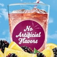 thumbnail image 6 of Crystal Light Liquid Blackberry Lemonade Naturally Flavored Drink Mix, 1.62 fl oz Bottle, 6 of 15