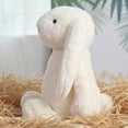 thumbnail image 5 of DJKDJL Soft Easter Bunny Plush Toy - Cute Stuffed Rabbit Animal | Fluffy Long-Ear Bunny for Kids, Bunny Stuffed Animal, Perfect Easter Decor for Spring Birthaday Hoilday Gifts, 5 of 9