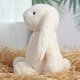 thumbnail image 4 of Juguetes de peluche de conejito de Pascua de 9,8 pulgadas, color verde salvia, peludos y holgados, animales de peluche de conejito de color sólido, peluches de eucalipto difusos para decoración, 4 of 8