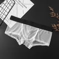 thumbnail image 2 of MYG Sexy Men Briefs Mesh See-through Pouch Boxer Bikini Underwear Soft Breathable, 2 of 8