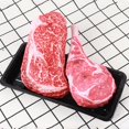 thumbnail image 2 of Sound Toys Simulation Steak Bite Resistant Oxford Cloth Interactive Molar Chewing Toy for Puppy, 2 of 11