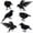 Black, variant on Stiwee 6Pcs/Set Halloween Black Crows Black Crow Ornament, Plastic Desktop Decoration for Gifts Party Decor Halloween Black Feathered Crows, Realistic Looking Halloween Decoration Birds