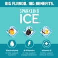 thumbnail image 3 of Sparkling Ice Powder Zero Sugar Drink Mix Variety Pack, Orange Mango, Black Raspberry & Coconut Pineapple, 10 Sticks, 3 of 13