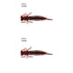 thumbnail image 2 of Wosthever 10 Uds. De cebos de insectos de simulación, señuelos de pesca portátiles, cebos de insectos, cebos de pesca portátiles Type3 NO3, 2 of 6
