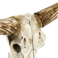 thumbnail image 2 of Zentique SHI010 Bull Skull with Base- 27 x 23.5 x 12 in., 2 of 3