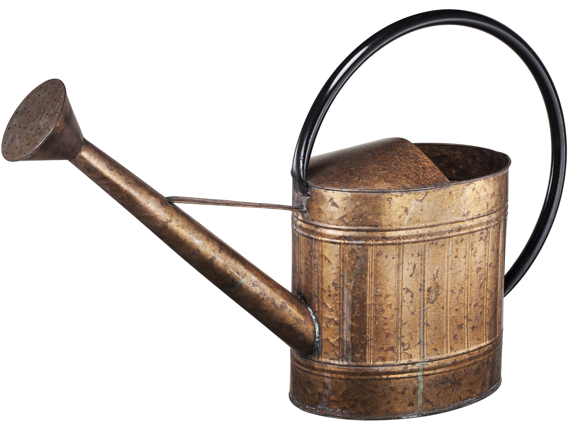 A&B Home Bronzed Metal Watering Can by A&B Home