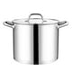 thumbnail image 1 of 10 Quart Pot with Lid, 10 QT Stainless Triply Steel Stockpot, for All Stoves, 1 of 5