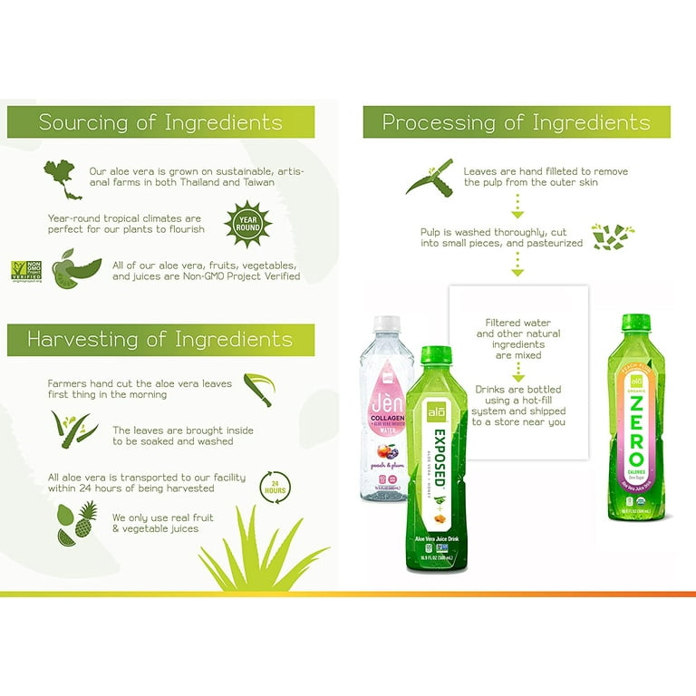 Pack of 12), ALO Organic Zero Aloe Vera Drink, White Grape, 16.9 fl oz -  Walmart.com