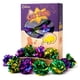 thumbnail image 2 of Pelotas arrugadas de Mylar de juguete para gatos CHIWAVA, 45 unidades, 4 cm de diámetro, 2 of 9
