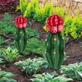 thumbnail image 3 of Cactus Flower Decor Insert, Easy Install Decorative Garden Inserts Simulation  for Patios Gardens Outdoor, 3 of 7