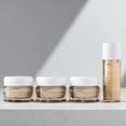 thumbnail image 5 of Crema hidratante facial nocturna KORRES White Pine Restorative 40 ml, 5 of 5
