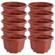 thumbnail image 3 of 10 piezas Flor Potas, 3 of 5