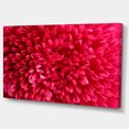 thumbnail image 2 of Pink Aster Flower Petals Close up - Large Floral Canvas Artwork, 2 of 4
