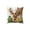 Deer 1, variant on chaungfeng Vintage Forest Animals Pillow Cover, Dog Decor Throw Pillow Covers Wildlife Pillowcase Cushion Case Pillow Decorative for Couch Sofa Home Office Outdoors 18x18 Inch