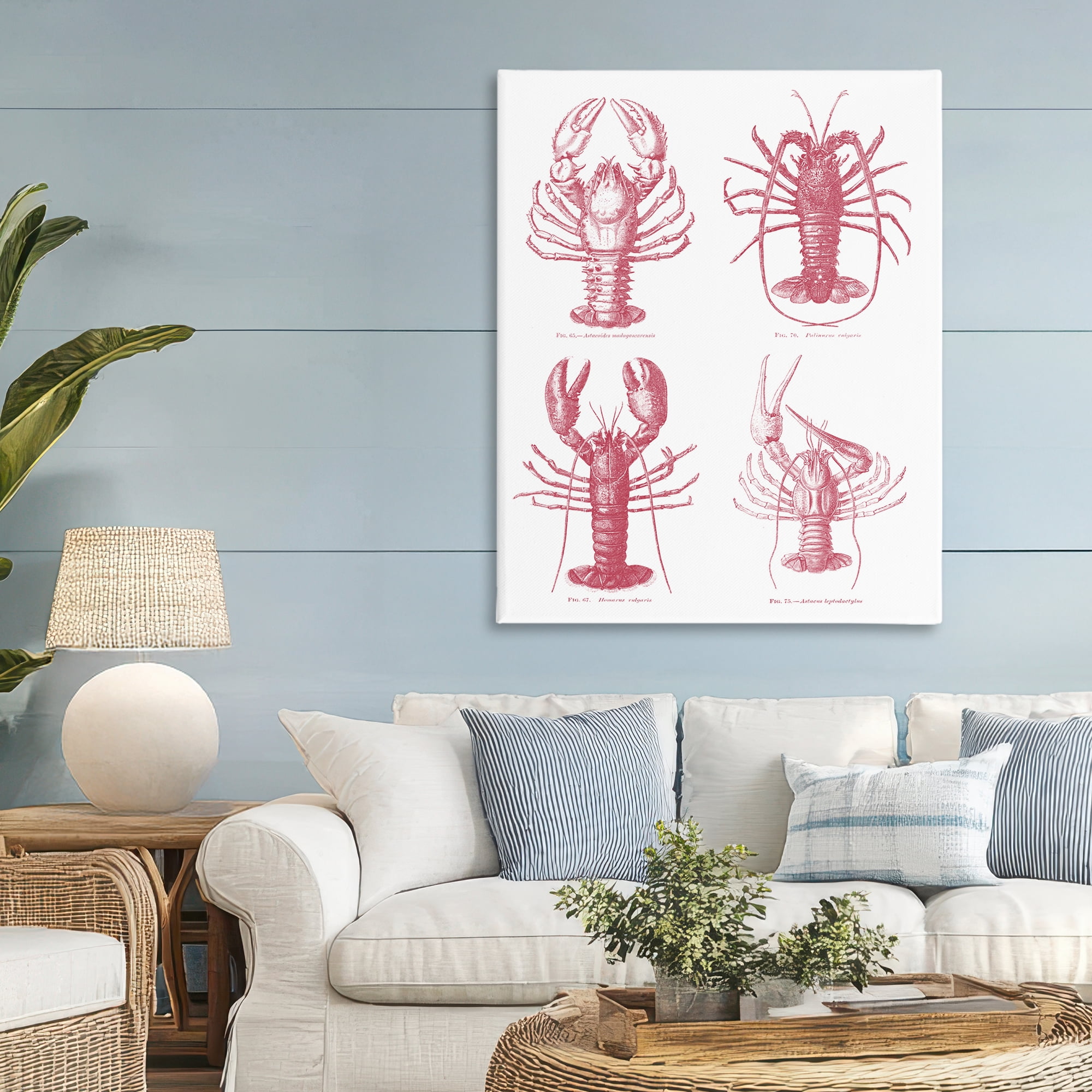 Timeless Lobsters Species Canvas Wall Art, design by Lettered and Lined