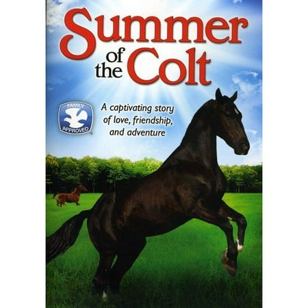 Summer Of The Colt