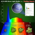 thumbnail image 3 of Bombillas Grow Light ALIDE E26 A19, 10 W, espectro completo, 5000 K, paquete de 3, 3 of 7