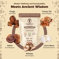 thumbnail image 2 of ChagaRoot Mycoprotein Mushroom Protein Powder Chocolate - Vegan, Plant Based, Superfood (1.76 lb - Pack of 1), 2 of 9