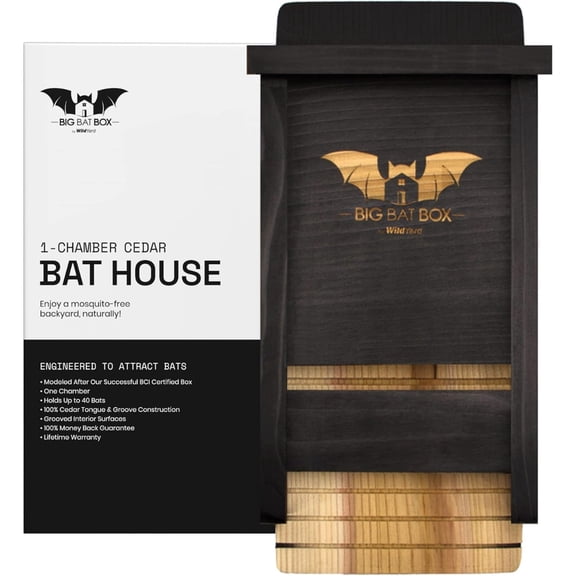 WildYard Cedar Bat House Single Chamber Black Finish Outdoor Wall Mount Holds up to 50 Bats