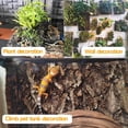 thumbnail image 3 of 4PCS Cork Terrarium Background 15.7x11.8in Natural Cork Large Bark Climbing Mat Habitat Decoration Chameleons, Lizards, Turtles Glass Jar Decoration, 3 of 8