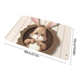 thumbnail image 3 of Ovzne Easter Bunny Holiday Decoration Floor Mat Entry Door Mat Home Entry Foot Mat On Clearance, 3 of 6