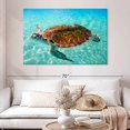 thumbnail image 2 of Elephant Stock Cancun Beach Turtle Wall Art - Horizontal Canvas Wall Art - Living Room Wall Decor - Animal Canvas - Turquoise And Blue Decor - 51" x 34", 2 of 4