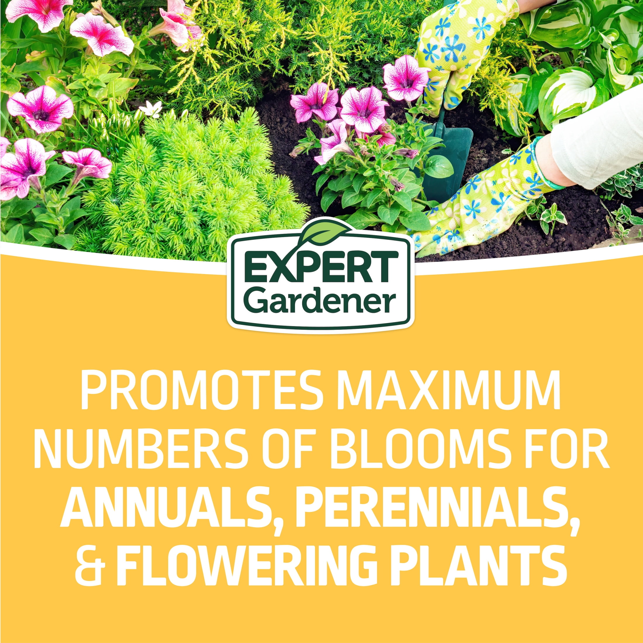 Expert Gardener Flower Plant Food Fertilizer 10-10-10, 4 lb.
