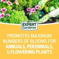 thumbnail image 5 of Expert Gardener Flower Plant Food Fertilizer 10-10-10, 8 lb., 5 of 9