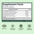 thumbnail image 6 of BB Company Previtalize, Prebiotic for Digestive Gut Health, Compliment to Provitalize, 60 Ct, 6 of 6