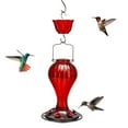 thumbnail image 4 of Kingsyard Glass Hummingbird Feeder 24 Ounces, 6 Feeding Ports, Ant Moat Included, Red, 4 of 9