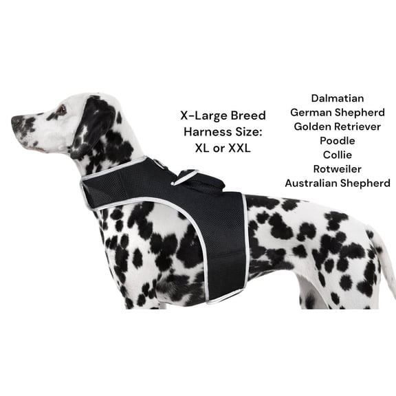 Observe Pet Location While Working - Pet Tracker Rechargeable Dog GPS Collar Tracker Size:XXL