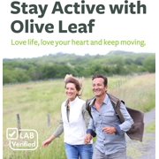 Healths Harmony Olive Leaf Extract Capsules with 20% Oleuropein, Antioxidants Supplement, 60 Count