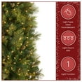 thumbnail image 5 of National Tree Company 7.5 ft Pre-Lit Carolina Pine Slim Artificial Christmas Tree, 600 Clear Lights, 759 Tips, Includes Stand, Green, 5 of 9