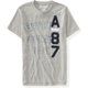 thumbnail image 1 of Camiseta Gráfica Aeropostale Gris XX-Large, 1 of 1