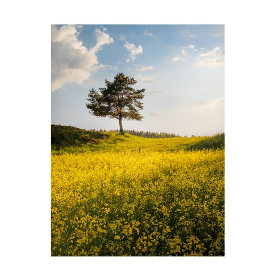 Trademark Fine Art Christian Lindsten King Of The Hill Canvas Wall Art