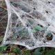 thumbnail image 4 of Monstrate Web artificial de Halloween portátil desmontable reutilizable plegable decorativo interior al aire libre oficina patio parque red de simulación Kits de decoración para fiestas Verde Monstrate HA067844-05, 4 of 6