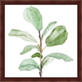 thumbnail image 3 of Great Art Now Fiddle Fig Leaf Plant by Lanie Loreth, 2 Piece Framed Art Set Each 13.25"W x 13.25"H, 3 of 3