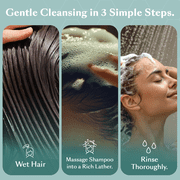 DHS Clear Fragrance-Free Shampoo for Sensitive Scalp and Hair, 8 oz