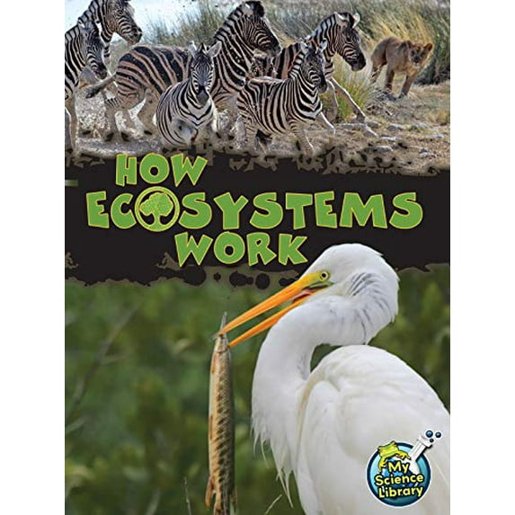 Pre-Owned Rourke Educational Media How Ecosystems Work (My Science Library), 9781618102201, 1618102206, Paperback,