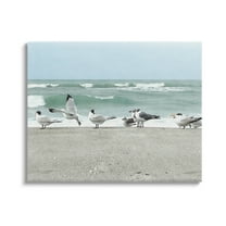 Stupell Industries Birds Gathering On Shore Rolling Ocean Waves Coastal Painting Gallery Wrapped Canvas Print Wall Art