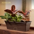 thumbnail image 4 of Bloem Dura Cotta 30" Chocolate Resin Rectangle Window Box Planter with Saucer Tray for Indoor and Outdoor Gardening, 4 of 4