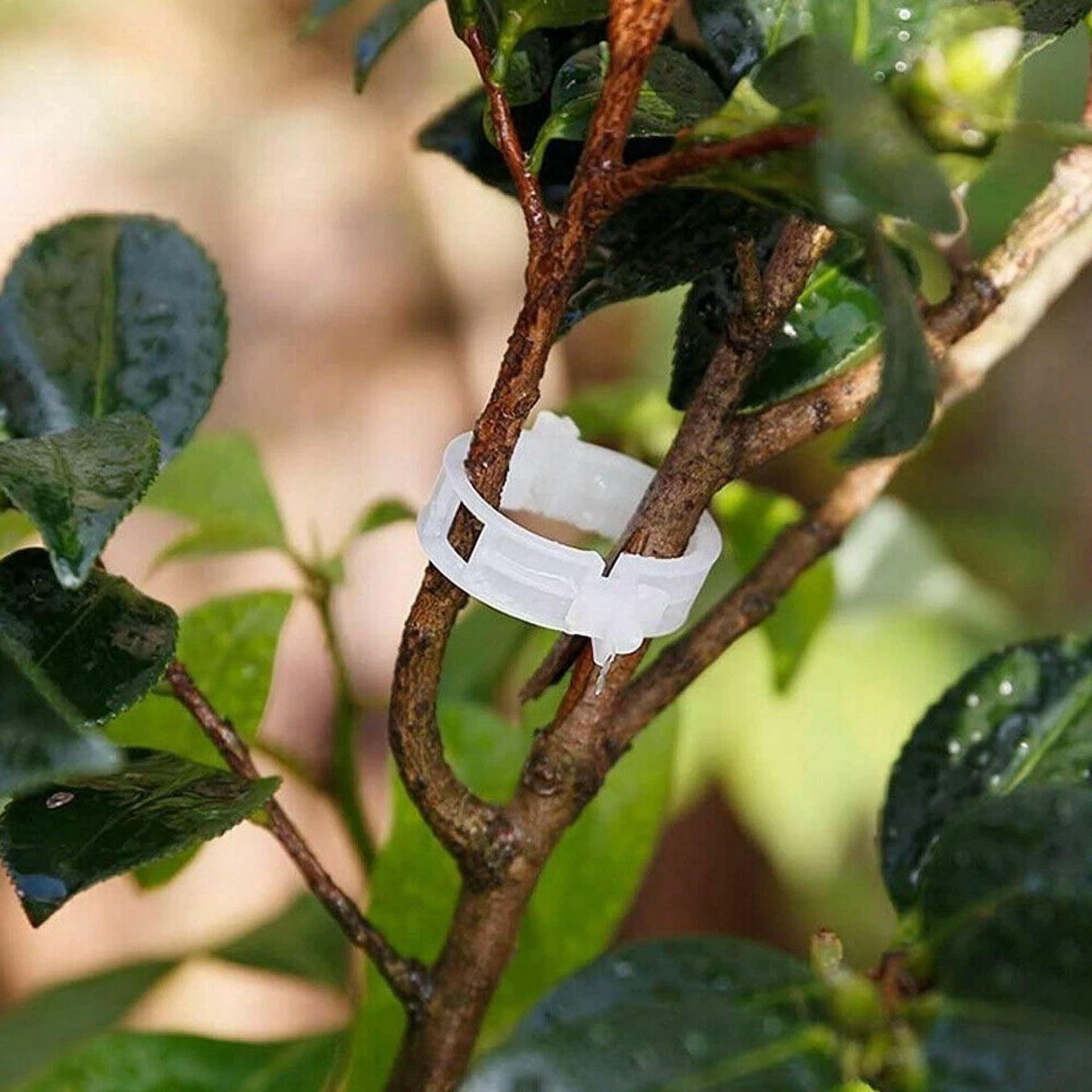 PURELY- 300X Useful Tomato Veggie Garden Plant Support Clips Trellis Twine Greenhouse Us