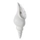 thumbnail image 1 of Florero de cerámica concha concha para colgar en , DO Gloria Jarrón de pared decorativo, 1 of 9