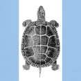 thumbnail image 3 of CafePress - Vintage Turtle Light T Shirt - Men's Classic Graphic T-Shirt, 3 of 4